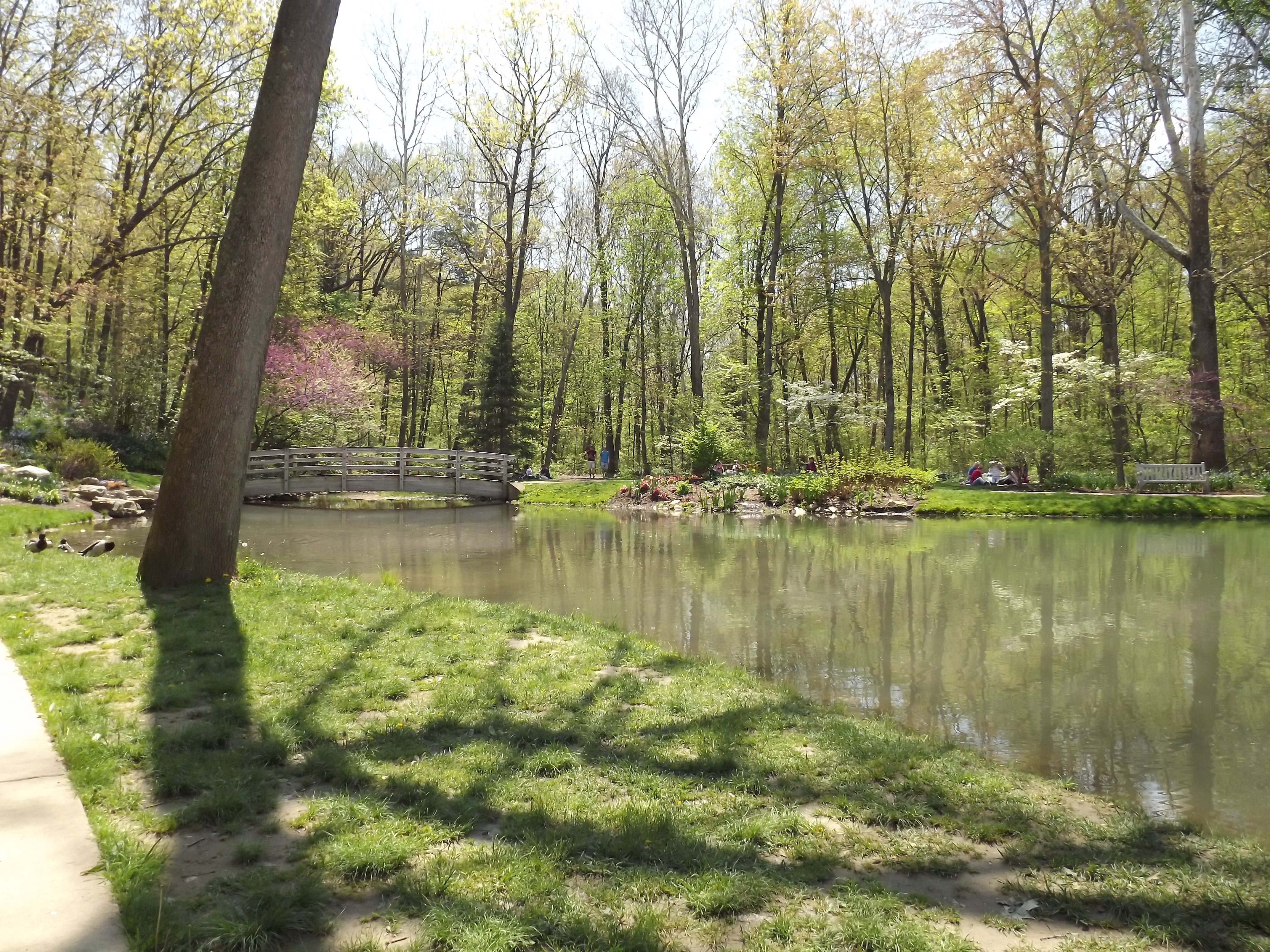 Placeholder image for JMU Arboretum tour